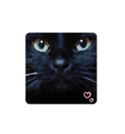 黒猫の福ちゃん④（個別スタンプ：8）