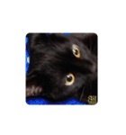 黒猫の福ちゃん④（個別スタンプ：9）
