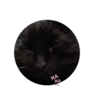 黒猫の福ちゃん④（個別スタンプ：14）