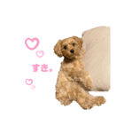 うちのつみきちゃんスタンプ(第4弾)（個別スタンプ：13）