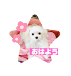 まゆみちゃんの家族（個別スタンプ：1）