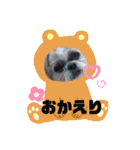 まゆみちゃんの家族（個別スタンプ：3）