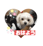 まゆみちゃんの家族（個別スタンプ：4）