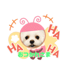 まゆみちゃんの家族（個別スタンプ：5）