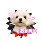 まゆみちゃんの家族（個別スタンプ：6）