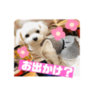 まゆみちゃんの家族（個別スタンプ：24）