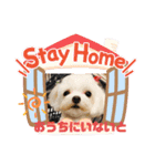 まゆみちゃんの家族（個別スタンプ：25）