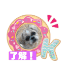 まゆみちゃんの家族（個別スタンプ：27）