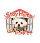 まゆみちゃんの家族（個別スタンプ：36）