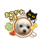 まゆみちゃんの家族（個別スタンプ：38）