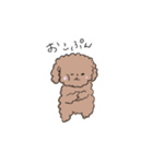 ふわふわかわいいいぬ（個別スタンプ：12）