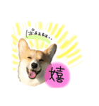 ★charmくんの日常（個別スタンプ：4）