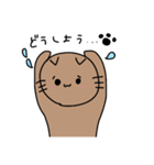 ねこがにゃご（個別スタンプ：22）