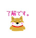 家のこんちゃん（個別スタンプ：3）