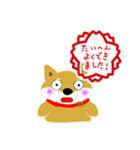 家のこんちゃん（個別スタンプ：5）