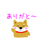 家のこんちゃん（個別スタンプ：6）