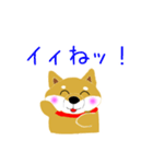 家のこんちゃん（個別スタンプ：8）