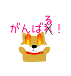 家のこんちゃん（個別スタンプ：12）