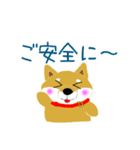 家のこんちゃん（個別スタンプ：14）