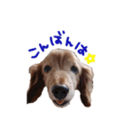 大和と玲音【日常】（個別スタンプ：3）