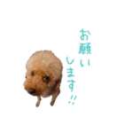 大和と玲音【日常】（個別スタンプ：5）
