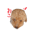 大和と玲音【日常】（個別スタンプ：6）