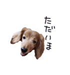 大和と玲音【日常】（個別スタンプ：13）