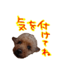 大和と玲音【日常】（個別スタンプ：14）
