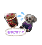 シーズーのもんちゃん（個別スタンプ：18）