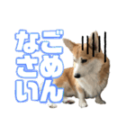 オリバー！！！（個別スタンプ：3）