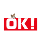 オリバー！！！（個別スタンプ：5）