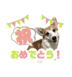 オリバー！！！（個別スタンプ：7）