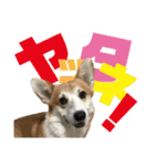 オリバー！！！（個別スタンプ：9）