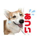 オリバー！！！（個別スタンプ：11）
