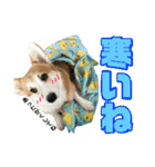 オリバー！！！（個別スタンプ：12）