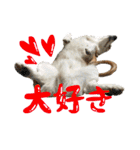オリバー！！！（個別スタンプ：15）