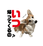 オリバー！！！（個別スタンプ：16）