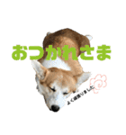 オリバー！！！（個別スタンプ：18）