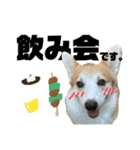 オリバー！！！（個別スタンプ：19）