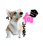 オリバー！！！（個別スタンプ：21）