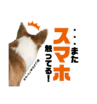 オリバー！！！（個別スタンプ：23）