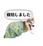 オリバー！！！（個別スタンプ：27）