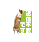オリバー！！！（個別スタンプ：29）