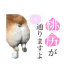 オリバー！！！（個別スタンプ：30）