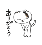 ねこのきょうこさん（個別スタンプ：1）