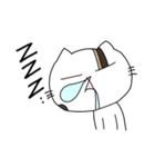 ねこのきょうこさん（個別スタンプ：7）