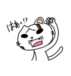 ねこのきょうこさん（個別スタンプ：17）