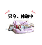 ✳︎チャイさんのスタンプ✳︎（個別スタンプ：30）
