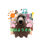 バル＆Yell（個別スタンプ：4）
