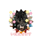 バル＆Yell（個別スタンプ：5）